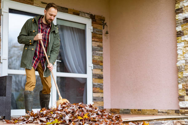 Best Basement Cleanout Services  in Rolesville, NC